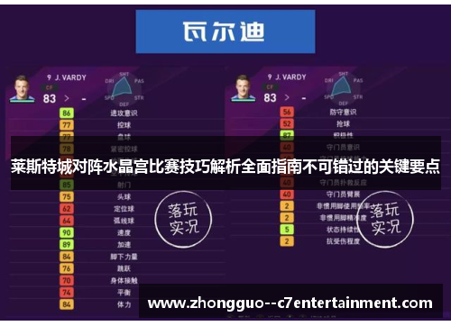 莱斯特城对阵水晶宫比赛技巧解析全面指南不可错过的关键要点