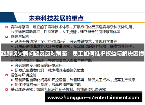 赵鹏谈欠薪问题及应对策略：员工如何维护权益与解决困境