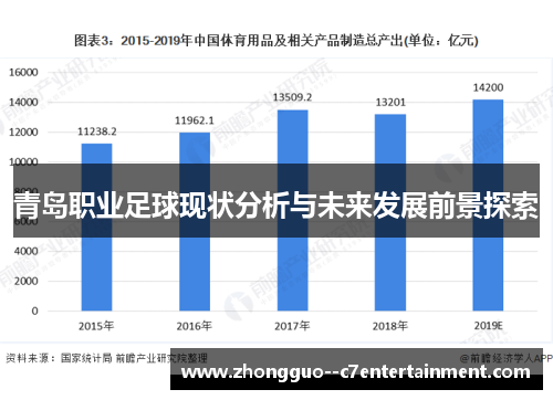 青岛职业足球现状分析与未来发展前景探索