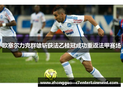 欧塞尔力克群雄斩获法乙桂冠成功重返法甲赛场