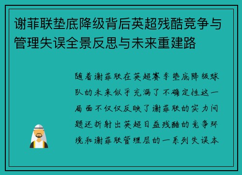 谢菲联垫底降级背后英超残酷竞争与管理失误全景反思与未来重建路
